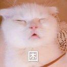 醉眼看世界世界随我陶醉
