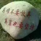 顺其自然（76.3.，龙有关必回）
