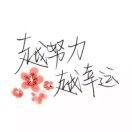 轻红醉洛川