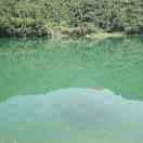 有一种温柔独家专属