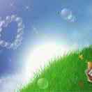 北京宏盛装饰明丽（魏县店）