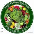 珠迪