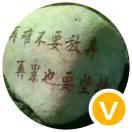战歌