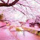 峩厢婄祢走梡這輩子