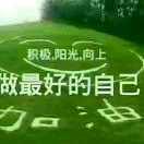 你若相惜我必相依