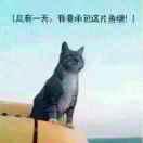 真三法帝程浩宇