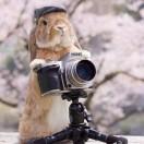 就是一个接地气的girl