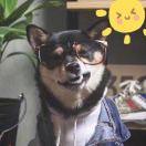 活成你向往的样子啊。🌟