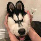 Jayce.