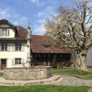 平淡的小幸福💕