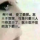 白蔷薇
