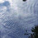 小香港，牛肉米粉