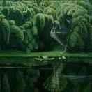 🐠🐠橄榄绿🐟🐟