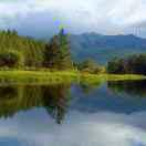 金溪艺术漆，仿石漆老张