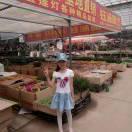 一叶孤舟