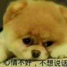 波涛澎湃