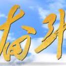 全是鱼