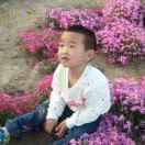 忘忧君