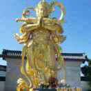 富宏生态（沙棘研发）