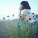 苹果🧚🏻‍♀️