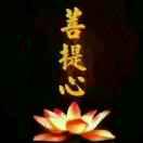 菩提心_194206