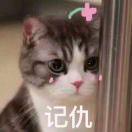 九悲一喜