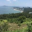 大家旺
