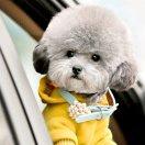 未来幸福生活馆