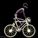 在鸭绿江散心的仙人球