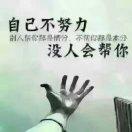 骑士
