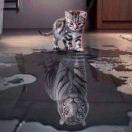 ❀͜͡💓⃨⃰余生এ随心