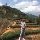 大古茗茶