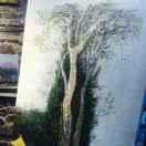 注塑加工，样品定制