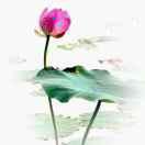 宁静致远ᵏⁱᵏⁱ้้