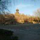 何必自强，知足常乐!