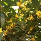 阳光总在风雨后