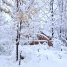 雪花