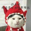 点击输入文字