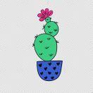 杨文友豆制品（技术教学）