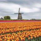 周素平