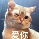 鹿哥｜杭州鹿轩