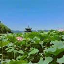 快乐每一天