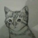 『愛嘚＆輪迴』