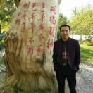 ༺戈壁滩上的胡杨树༻