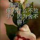 众星捧月