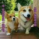 雨下听风