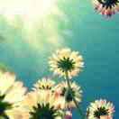 锦里古街影视部-王艺洁