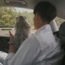 小泽mz