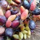 一生平安8812712199174