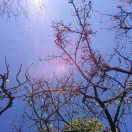 飞洋健身百盛店-田经理